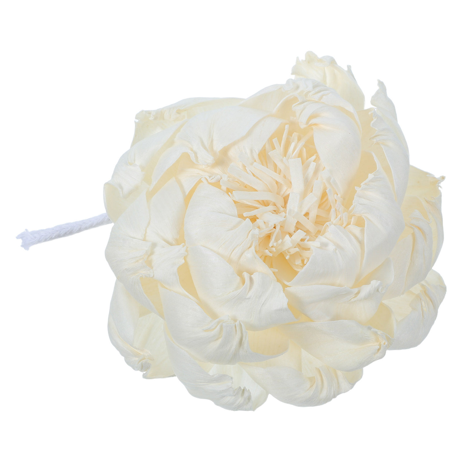 Peony Head Fragrance Diffuser  - Fragrance In Home 评论和价格